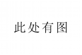 新野如何避免债务纠纷？专业追讨公司教您应对之策