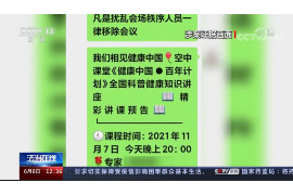 新野为什么选择专业追讨公司来处理您的债务纠纷？